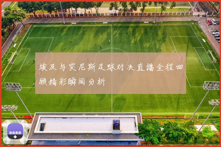 埃及与突尼斯足球对决直播全程回顾精彩瞬间分析