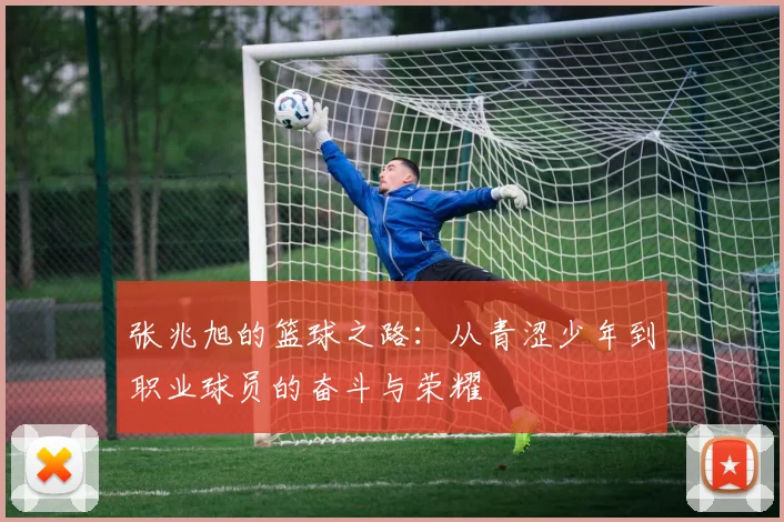 张兆旭的篮球之路：从青涩少年到职业球员的奋斗与荣耀
