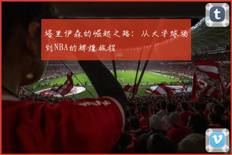 塔里伊森的崛起之路：从大学球场到NBA的辉煌旅程
